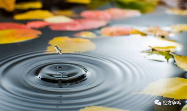 1486817749196697.png 图片